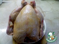 ������������ ������ �����������