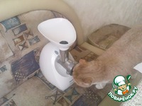 �������� "�����" �����������