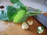 ������������� � ����� � ������ �����������