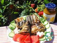 �������� �� ����� ��� ��������� �����������