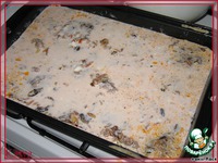 ����� ������� ��������� �����������