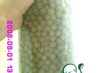 ������� ������� ���������������� �����������