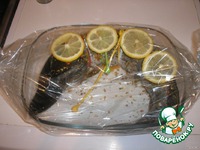 ���� � ������ �����������