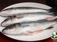 ����� �� ����� � ������ "�����" �����������