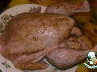 ������������� ������ "�������" �����������