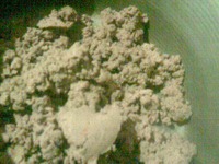 "�������� ������" � ������������ ��������� �����������