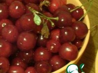 ������ "���� ����" �����������