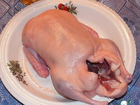 ���� � ���������� �����������