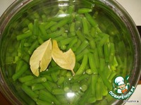 ������� ����� "Gribo4 ki" �����������