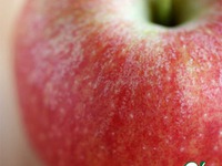 �������� �������� ����� �����������