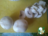 ����-����� �����������