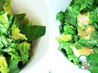 ������������ ������ ������ �����������