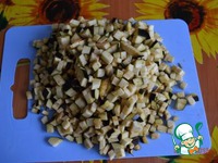 ���� ����������� �����������