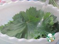 ���� � ����������� ������� �� ����� �����������