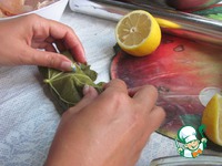 ���� � ����������� ������� �� ����� �����������