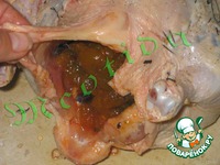 ������ � ������� ��������� �����������