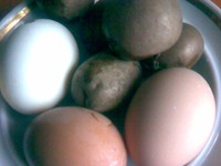 ���������� ������� � ������� ������� �����������