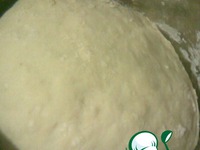 ����� � ������ �������� �����������