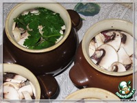 �������� �� �������� � ����������� � ��������� �����������