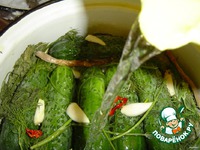 ������ ����������� �����������