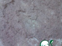 ���������� ��������� ���� "��� � �����" �����������