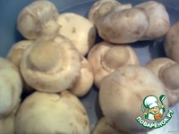 �����, �������� � ������� �����������