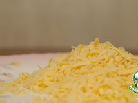 �������� � ������ ����� �����������