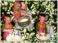 ����� ������������ ��������� �����������