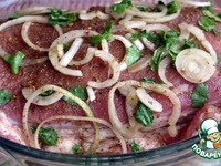 �������,  ���������� � ������ �����������