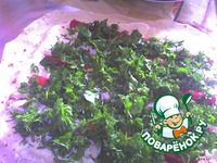 ����� �� ������ � ��������� ��������� �����������