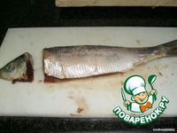 ������ � ���������� "����������� �������" �����������