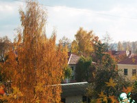 ����� � �������� � ������� �������� ���� �����������