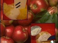 ������������� �������� ������ �����������