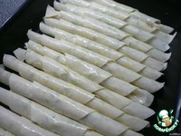 �������� �e��� �����������