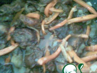 ������  ������� �����������