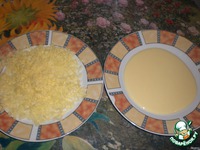 ������ � ��������� �����������