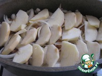 ������ � ��������-������� ����� �����������