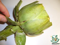 ��������, ������������� ������� � �������� �����������