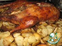 �������� ���� �����������