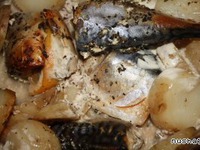 ��������, ���������� � ������ �����������