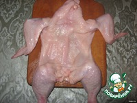 ������ "��������" �����������