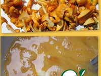 �������-�������� � �������� ��������� �����������