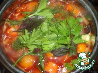 ���� �����-������� "�� �������" �����������