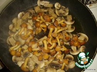 ������� ����� "Gribo4 ki" �����������