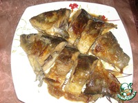 ���� � ���� �����������