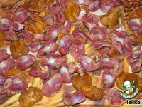 ��������, ������������� �������� ��������� �����������