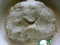 ������������ ���� �����������