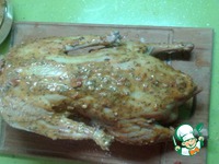 ���� � �������-����������� �������� �����������