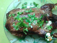 ���� � �������-����������� �������� �����������