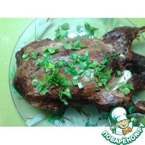 ���� � �������-����������� ��������